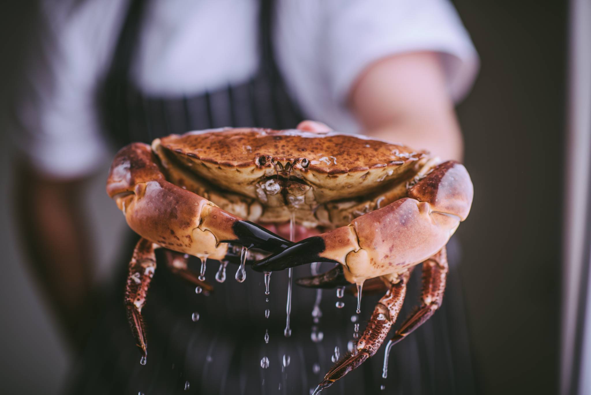 Pickle Shack masterclass: Crab